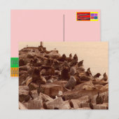 海のカコファニー ポストカード (正面/裏面)