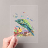 海のカメと魚たち アクリル招待状 (インサイチュ (ポータブル))