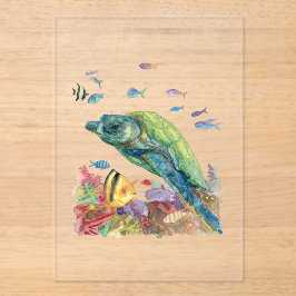 海のカメと魚たち  アクリル招待状