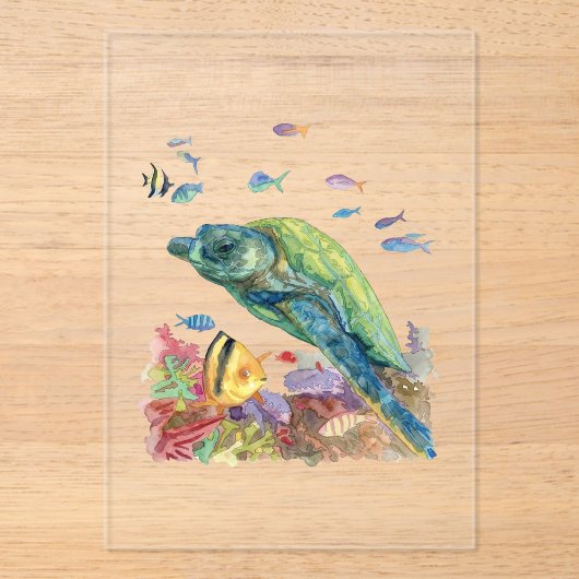 海のカメと魚たち アクリル招待状 (正面)