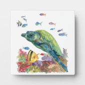 海のカメと魚たち フォトプラーク (正面)