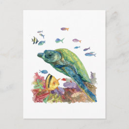 海のカメと魚たち  ポストカード