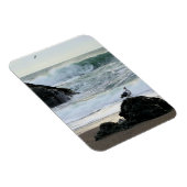 海のカモメ マグネット (右側)