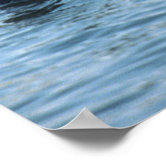 海のカワウソ群 ポスター (角)