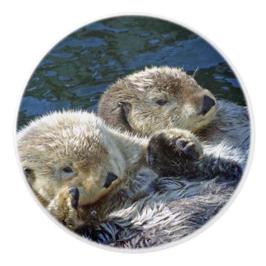 海のカワウソ セラミックノブ (正面)