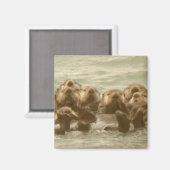 海のカワウソ マグネット (正面/裏面)