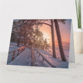 海のカードの近くの松の森の冬の夕日 カード (裏面)