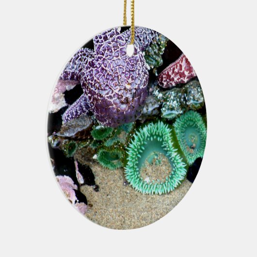 海のクリスマスのオーナメントによって セラミックオーナメント (右)
