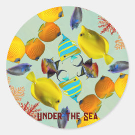 海のサンゴの下で魚の青い水の海洋生物 ラウンドシール