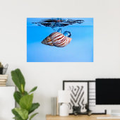 海のシェルが水に落ちる ポスター (ホームオフィス)