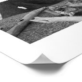 海のスタック白黒の写真 ポスター (角)