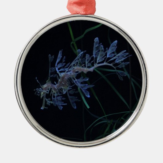 海のドラゴン メタルオーナメント (正面)