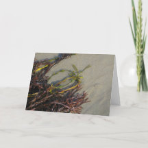 海のビーチの海藻