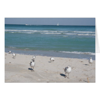 海のビーチの鳥