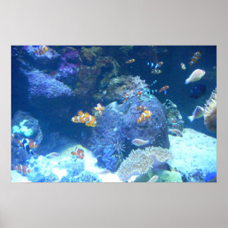 海のポスターの下 ポスター