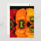 海のミックスパプリカ ポストカード (正面/裏面)