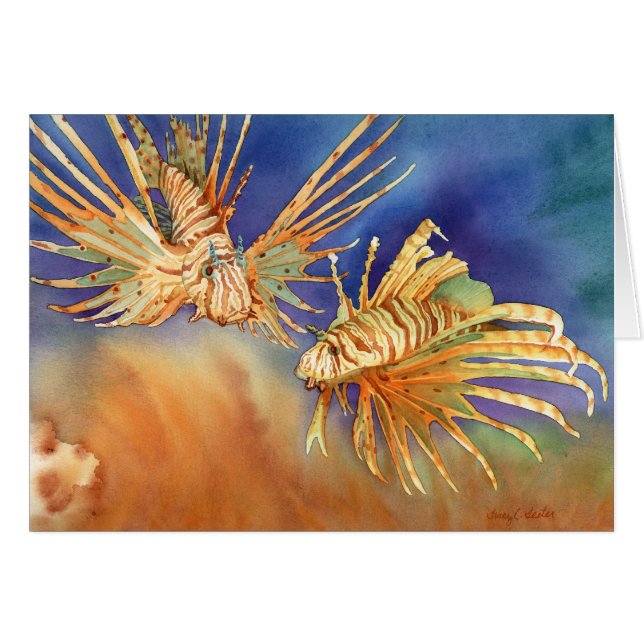 海のライオン (正面横)