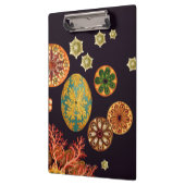 海のリスのリミックスのクリップボード クリップボード (左)