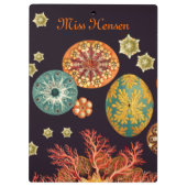 海のリスのリミックスのクリップボード クリップボード (裏面)