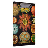 海のリスの正方形のクリップボード クリップボード (右)