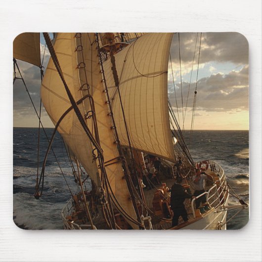 海のワシ マウスパッド (正面)