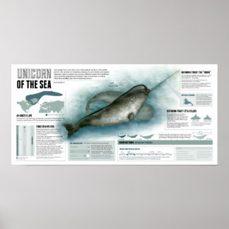 海の一角 ポスター