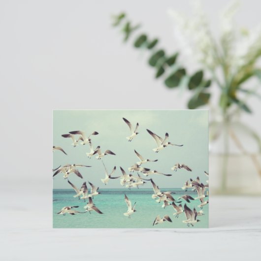 海の上の飛んでいるカモメの群れ。 シーズンポストカード (スタンド正面)