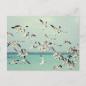 海の上の飛んでいるカモメの群れ。 シーズンポストカード (正面)