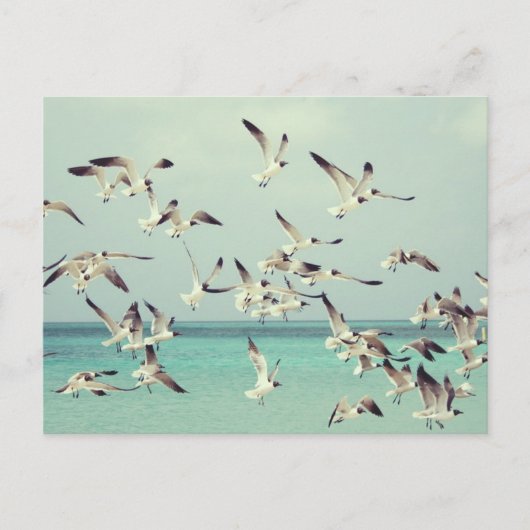 海の上の飛んでいるカモメの群れ。 シーズンポストカード (正面)