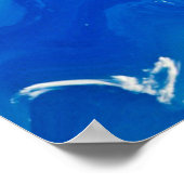 海の上の鳥 ポスター (角)