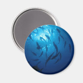 海の下で日光とシャワー マグネット (正面/裏面)