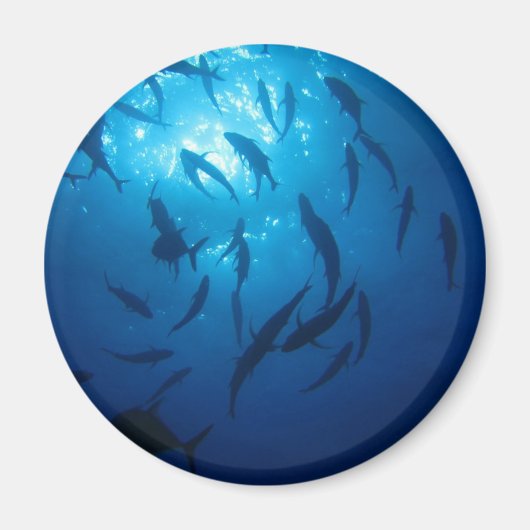 海の下で日光とシャワー マグネット (正面)