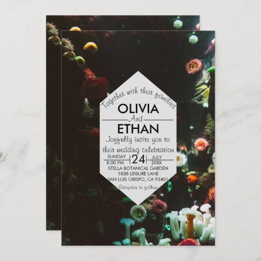 海の下のサンゴ礁 夏の結婚式 招待状 (正面/裏面)