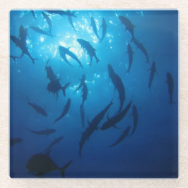 海の下の日光 ガラスコースター