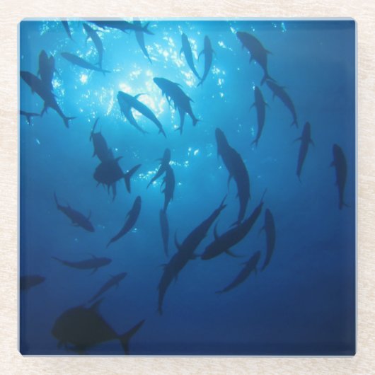 海の下の日光 ガラスコースター (正面)