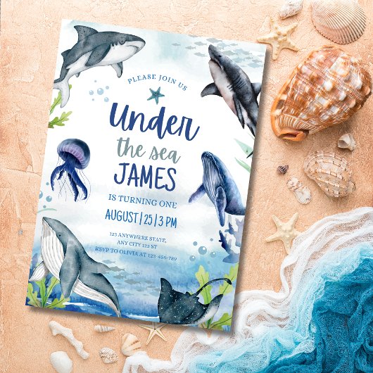 海の下の誕生日招待状, クジラザメ 招待状
