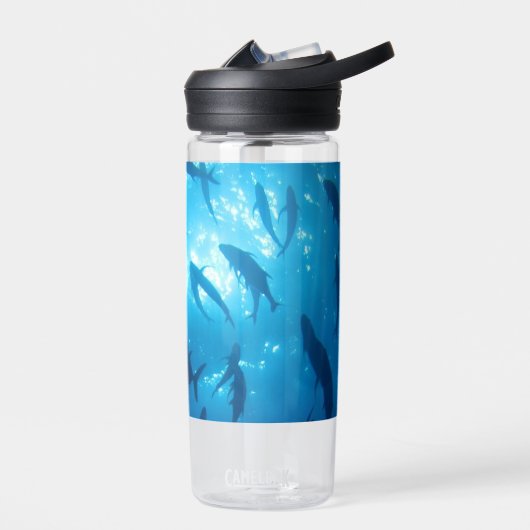 海の下の魚の群れと日光 ウォーターボトル (左面)