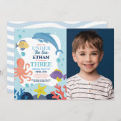 海の下の3 オーシャンイルカタコ3枚の写真 招待状 (正面/裏面)