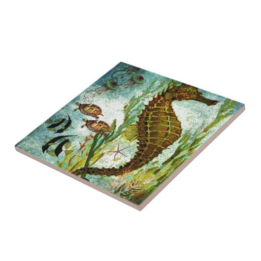 海の下2.jpg タイル (側面)