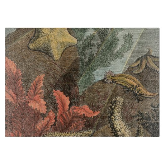 海の下 カッティングボード (正面)