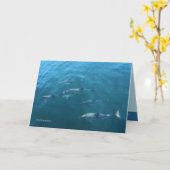 海の下 カード (黄色い花)