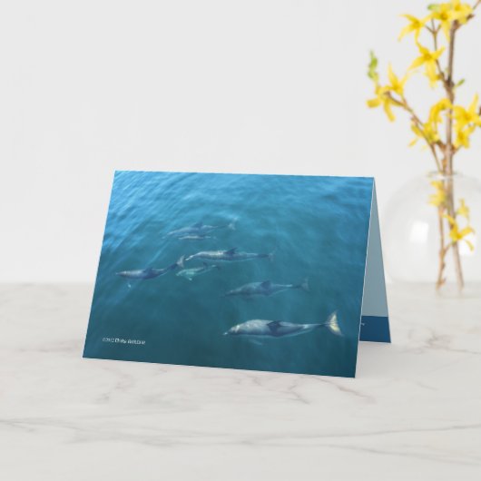 海の下 カード (黄色い花)