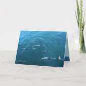 海の下 カード (正面)