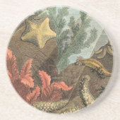 海の下 コースター (正面)