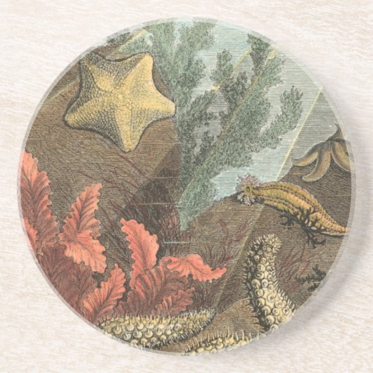 海の下 コースター (正面)