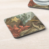 海の下 コースター (左側)