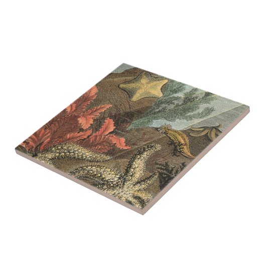 海の下 タイル (側面)