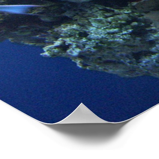 海の下 ポスター (角)