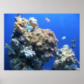 海の下 ポスター (正面)