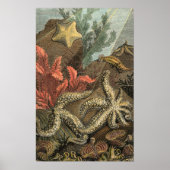 海の下 ポスター (正面)